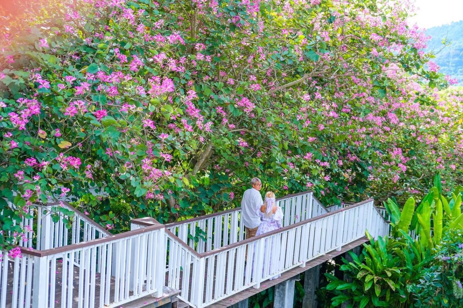Vivace Khaoyai Hotel Mu Si Luaran gambar